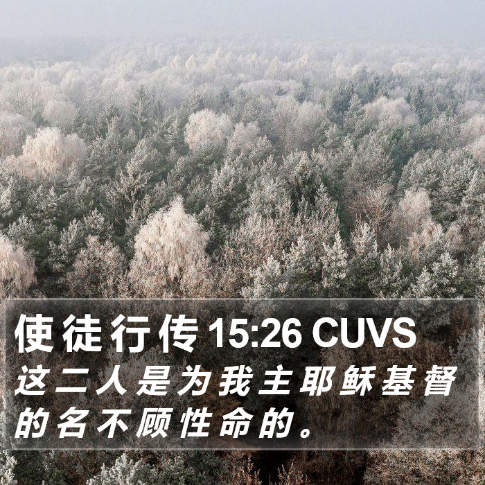 使 徒 行 传 15:26 CUVS Bible Study