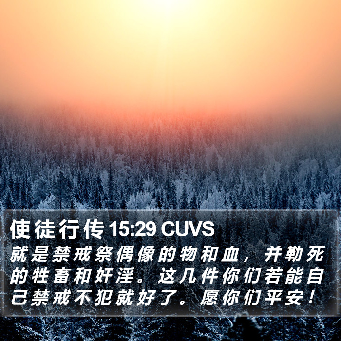 使 徒 行 传 15:29 CUVS Bible Study