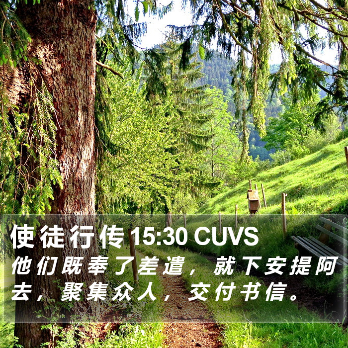 使 徒 行 传 15:30 CUVS Bible Study