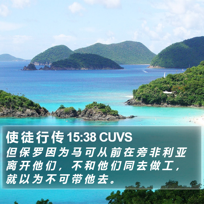 使 徒 行 传 15:38 CUVS Bible Study