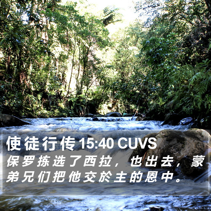 使 徒 行 传 15:40 CUVS Bible Study