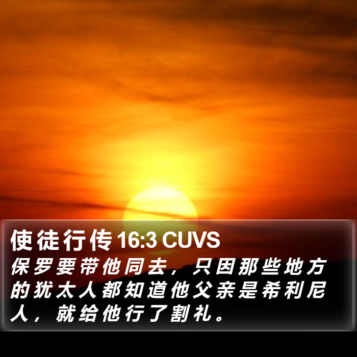 使 徒 行 传 16:3 CUVS Bible Study