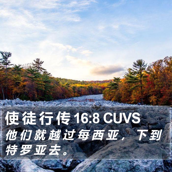 使 徒 行 传 16:8 CUVS Bible Study