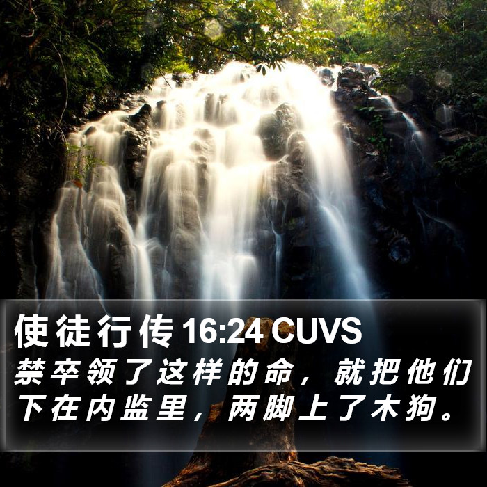 使 徒 行 传 16:24 CUVS Bible Study