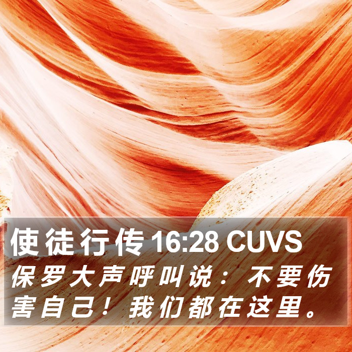 使 徒 行 传 16:28 CUVS Bible Study