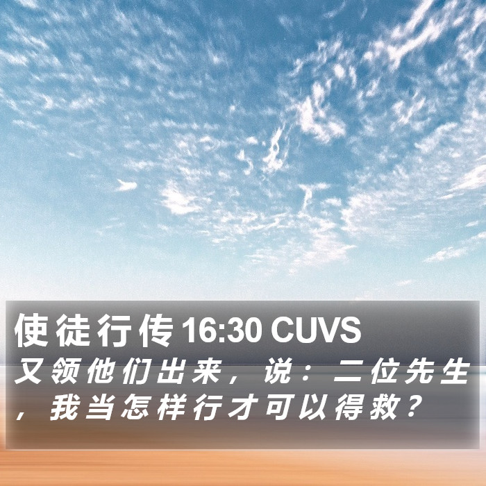 使 徒 行 传 16:30 CUVS Bible Study