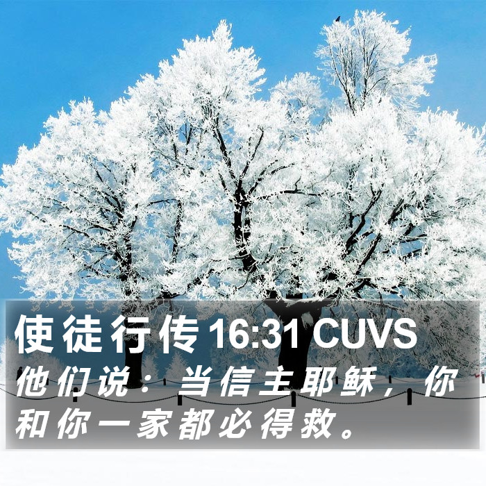 使 徒 行 传 16:31 CUVS Bible Study