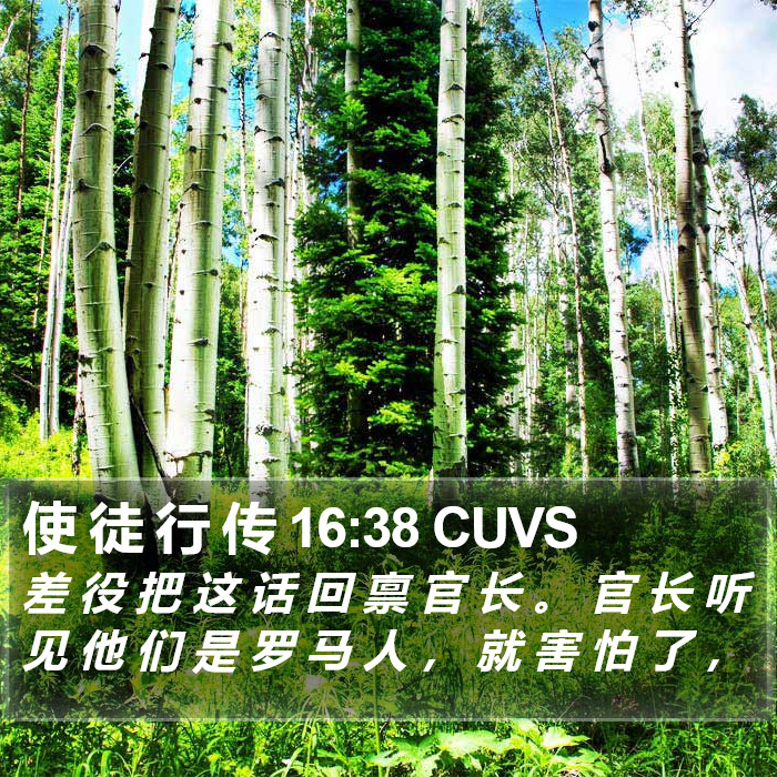 使 徒 行 传 16:38 CUVS Bible Study