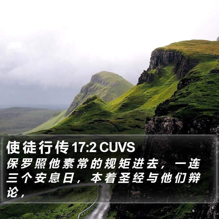 使 徒 行 传 17:2 CUVS Bible Study