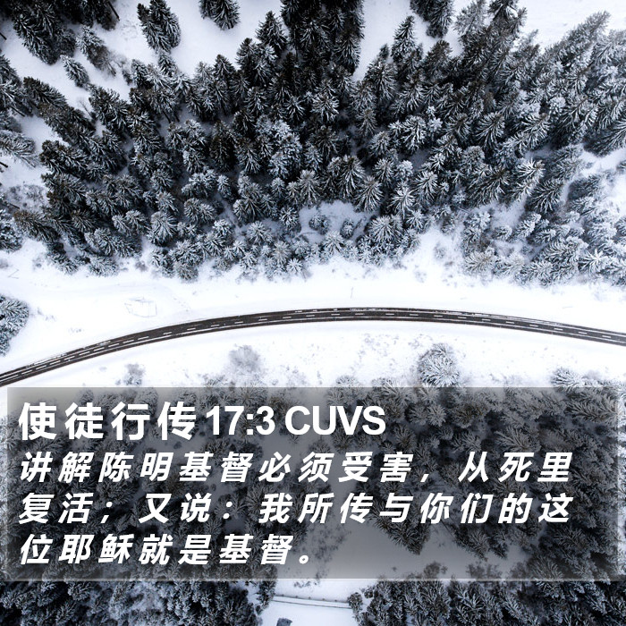 使 徒 行 传 17:3 CUVS Bible Study