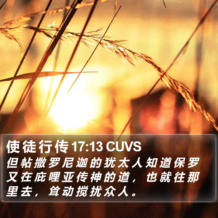 使 徒 行 传 17:13 CUVS Bible Study