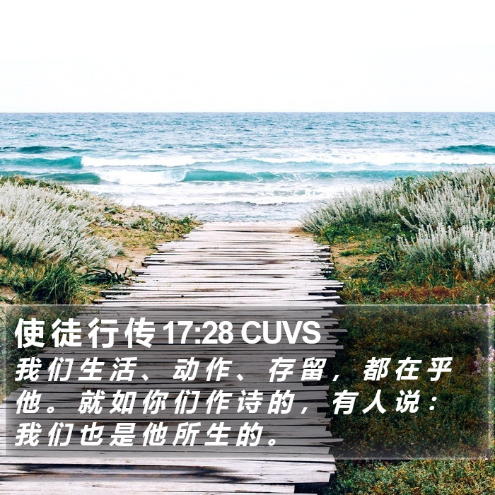 使 徒 行 传 17:28 CUVS Bible Study