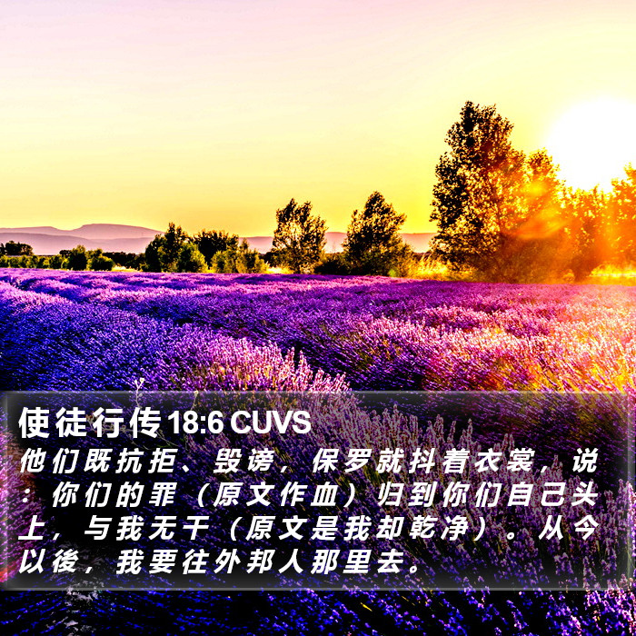 使 徒 行 传 18:6 CUVS Bible Study