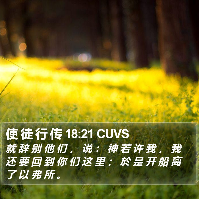 使 徒 行 传 18:21 CUVS Bible Study