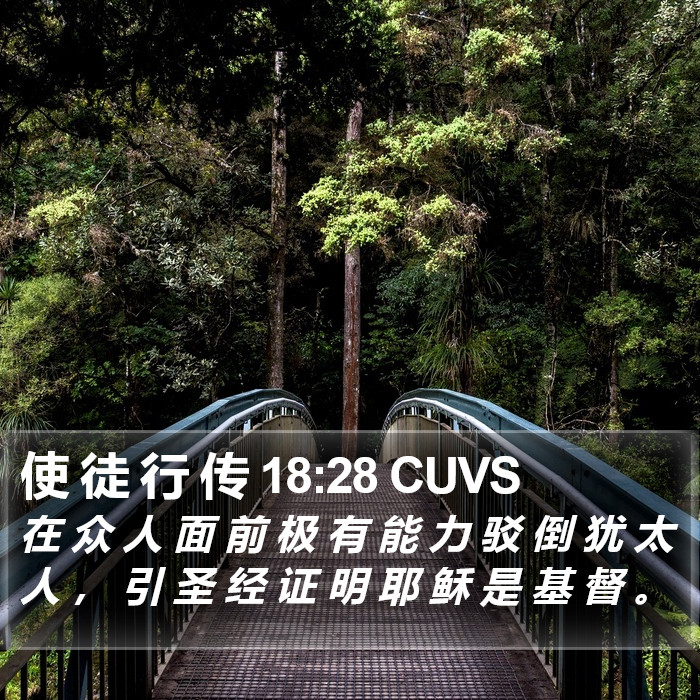 使 徒 行 传 18:28 CUVS Bible Study