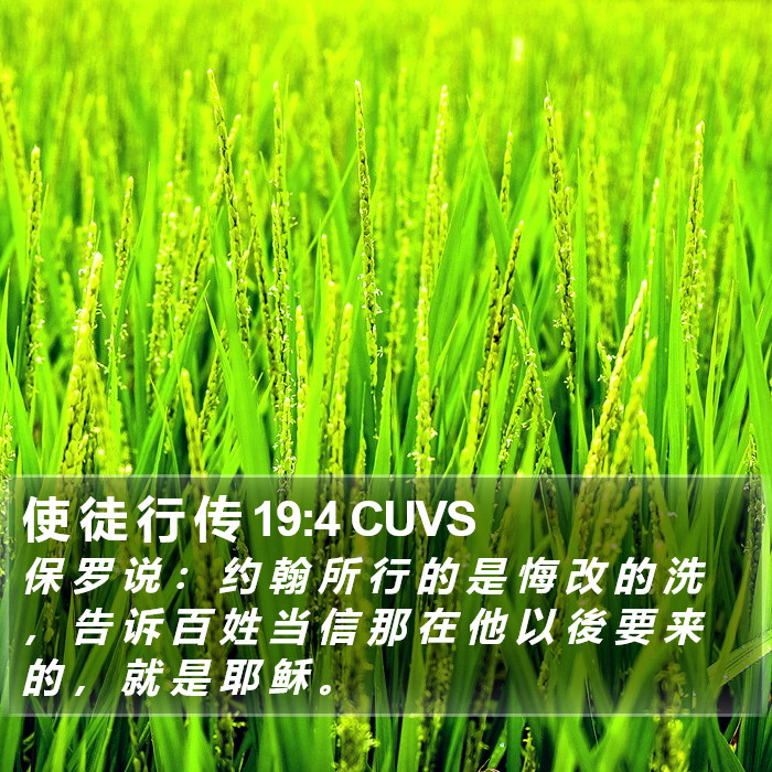使 徒 行 传 19:4 CUVS Bible Study