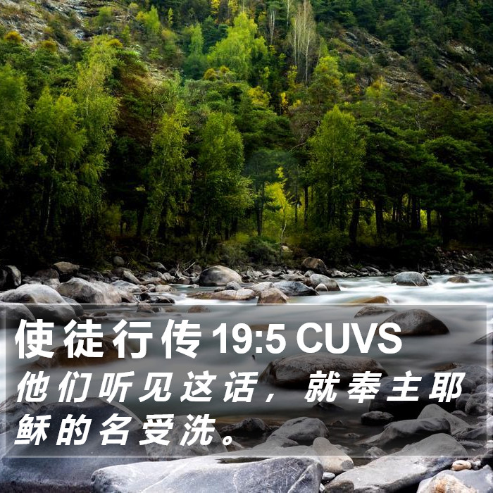 使 徒 行 传 19:5 CUVS Bible Study