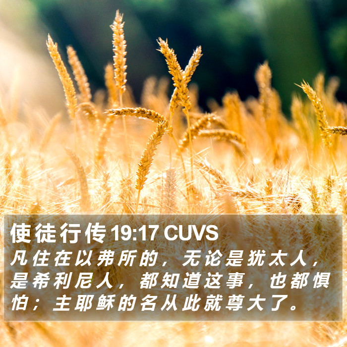 使 徒 行 传 19:17 CUVS Bible Study