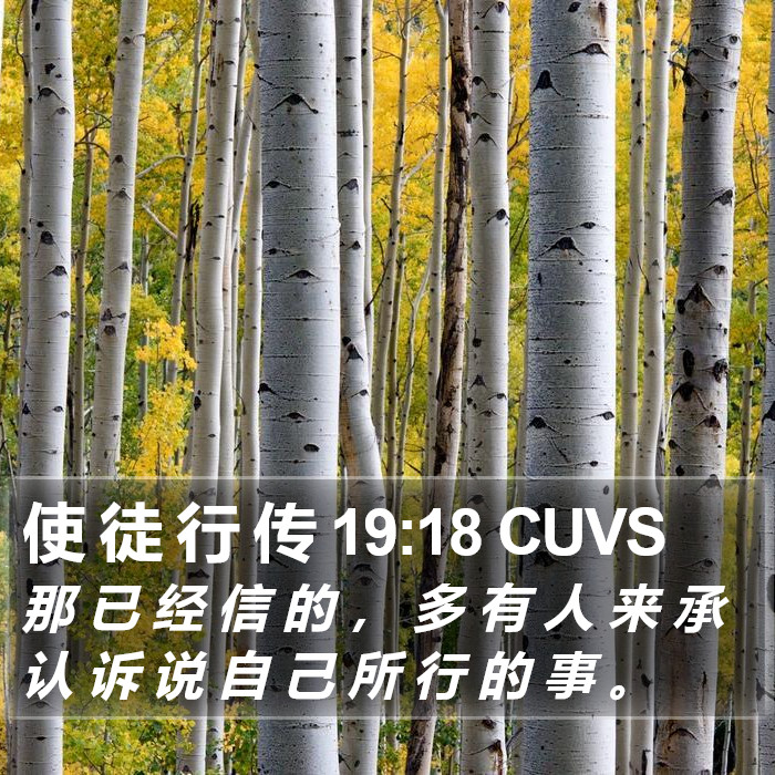使 徒 行 传 19:18 CUVS Bible Study