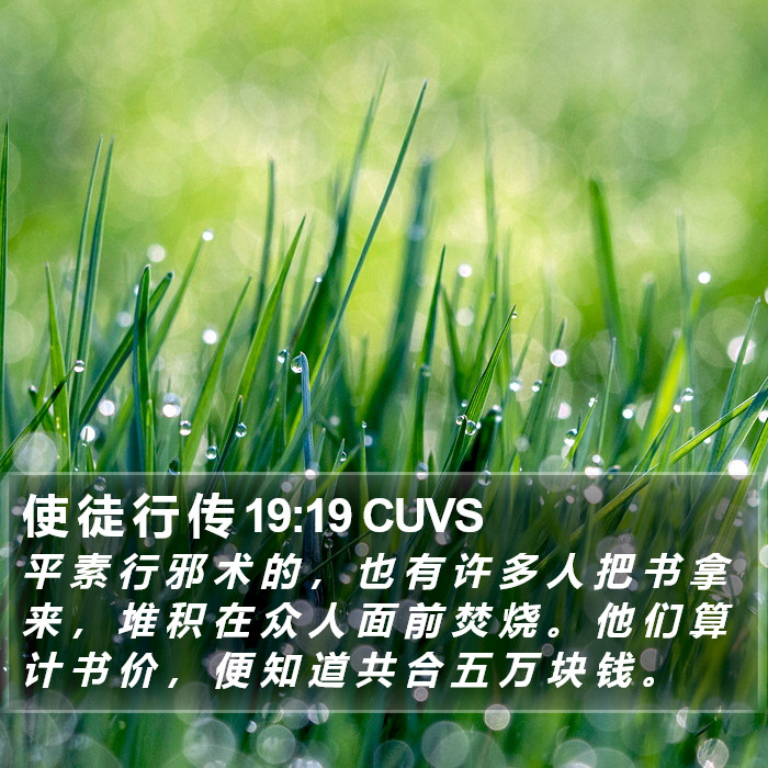使 徒 行 传 19:19 CUVS Bible Study