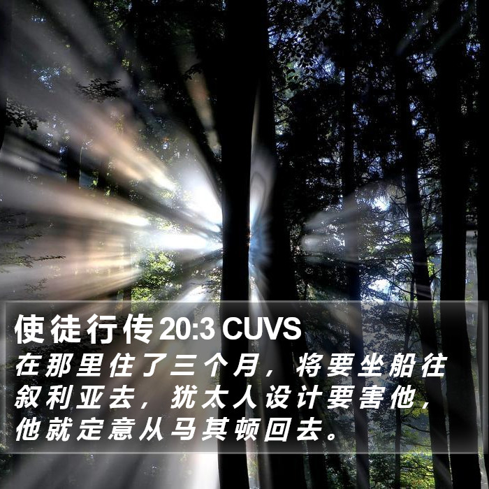 使 徒 行 传 20:3 CUVS Bible Study