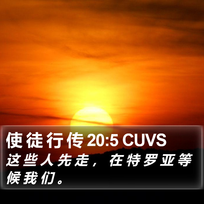 使 徒 行 传 20:5 CUVS Bible Study