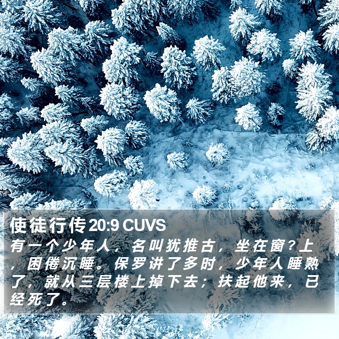 使 徒 行 传 20:9 CUVS Bible Study