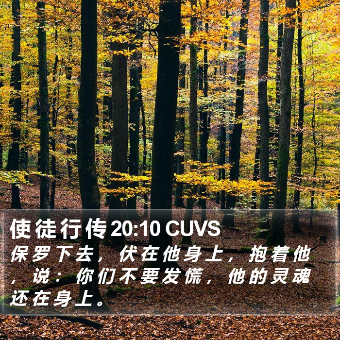 使 徒 行 传 20:10 CUVS Bible Study