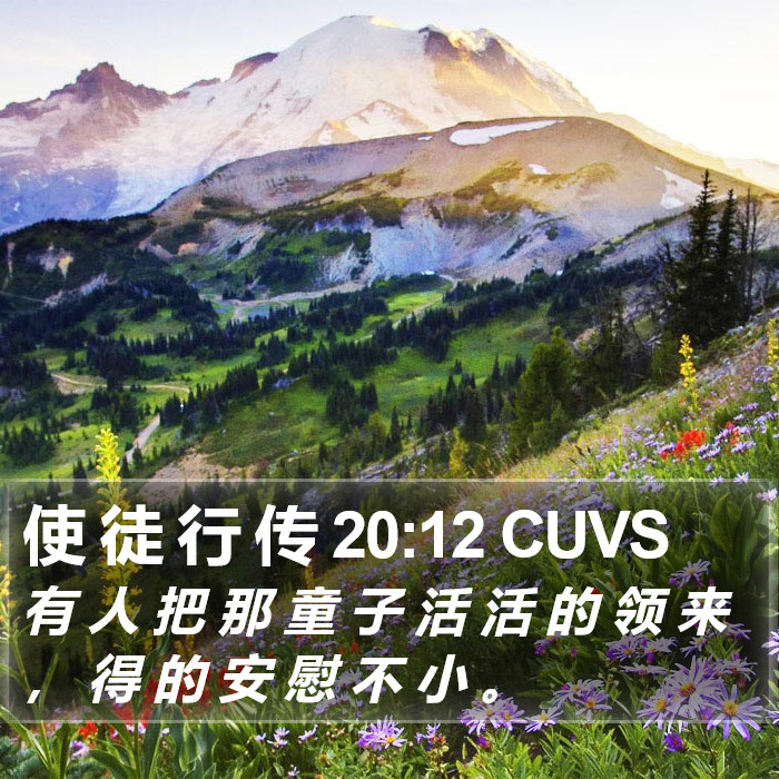 使 徒 行 传 20:12 CUVS Bible Study