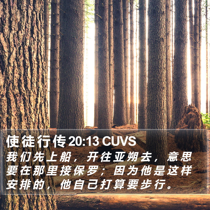 使 徒 行 传 20:13 CUVS Bible Study