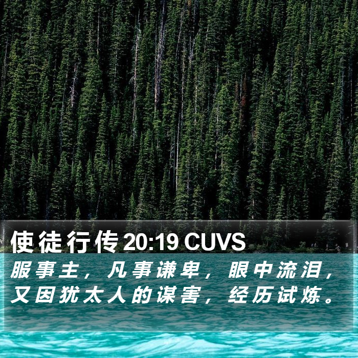 使 徒 行 传 20:19 CUVS Bible Study