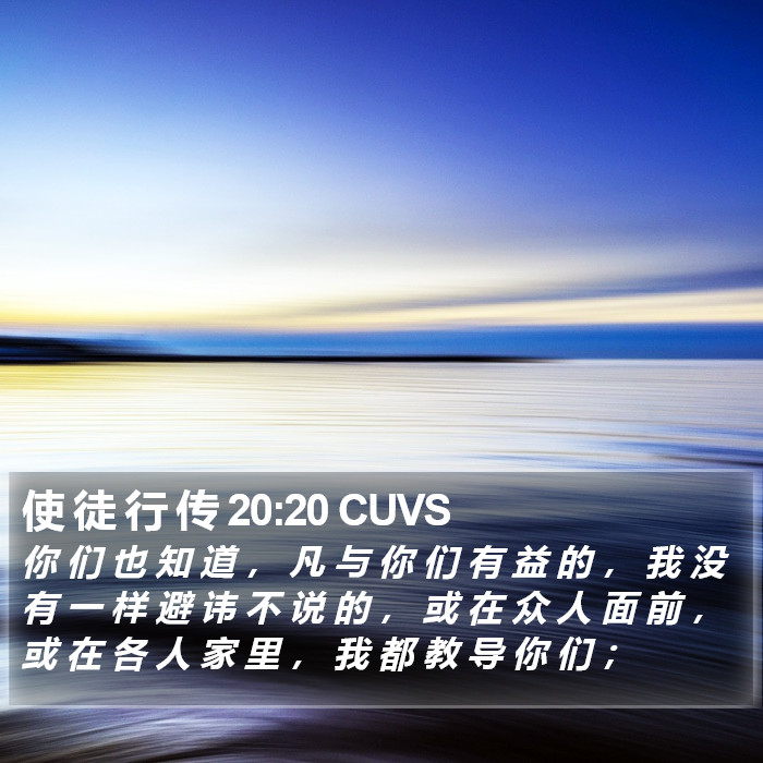 使 徒 行 传 20:20 CUVS Bible Study