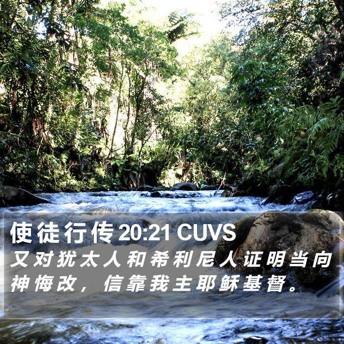 使 徒 行 传 20:21 CUVS Bible Study