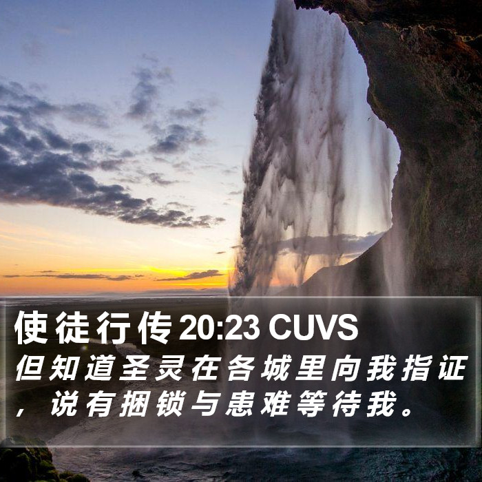 使 徒 行 传 20:23 CUVS Bible Study