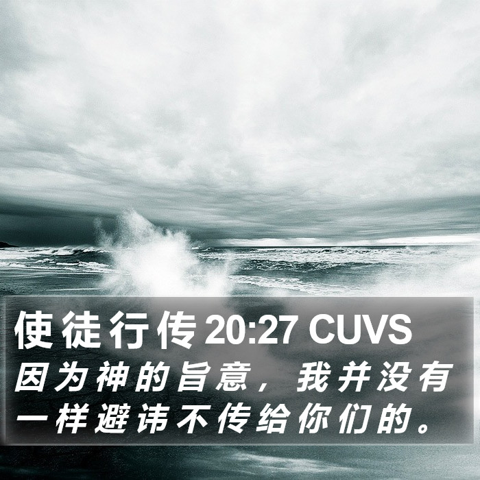 使 徒 行 传 20:27 CUVS Bible Study