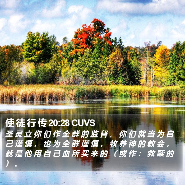 使 徒 行 传 20:28 CUVS Bible Study