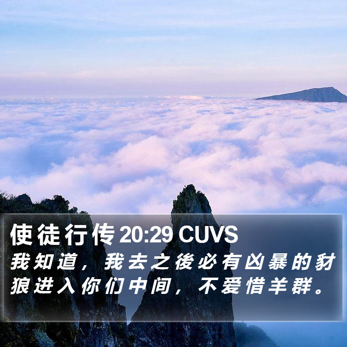 使 徒 行 传 20:29 CUVS Bible Study