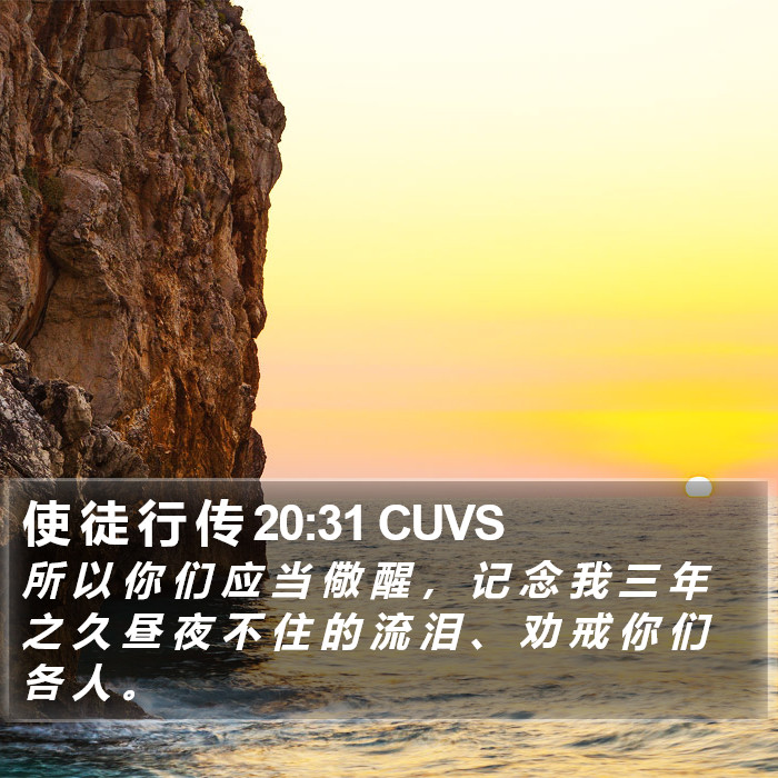 使 徒 行 传 20:31 CUVS Bible Study