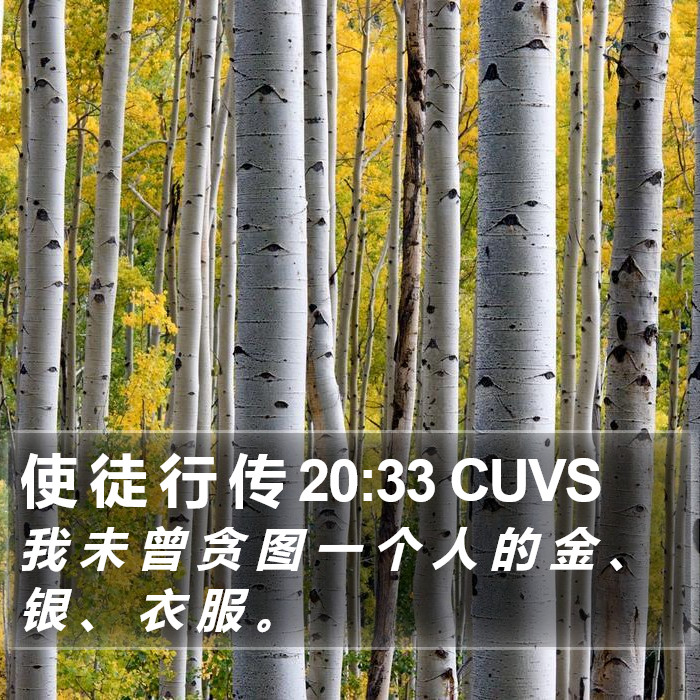 使 徒 行 传 20:33 CUVS Bible Study