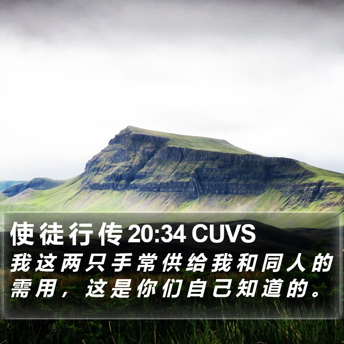 使 徒 行 传 20:34 CUVS Bible Study