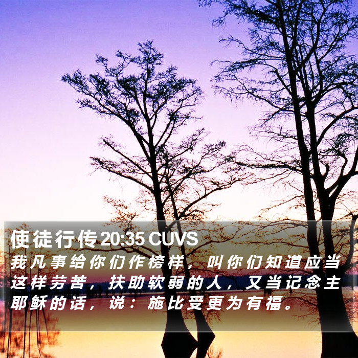 使 徒 行 传 20:35 CUVS Bible Study