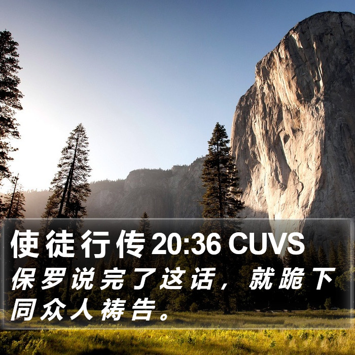 使 徒 行 传 20:36 CUVS Bible Study