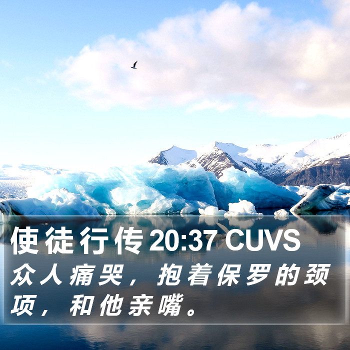 使 徒 行 传 20:37 CUVS Bible Study