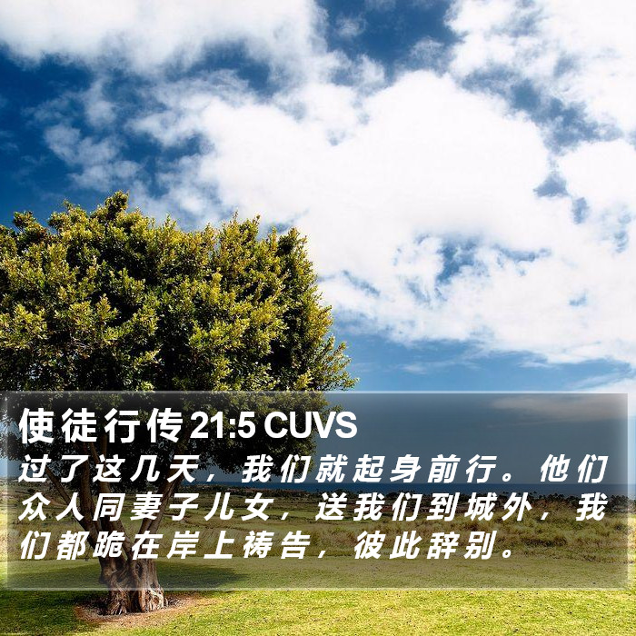 使 徒 行 传 21:5 CUVS Bible Study