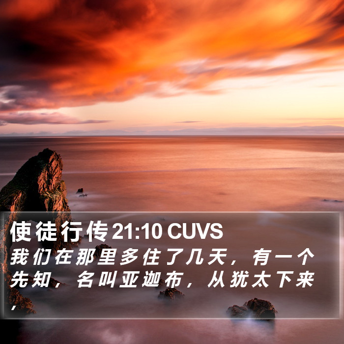 使 徒 行 传 21:10 CUVS Bible Study