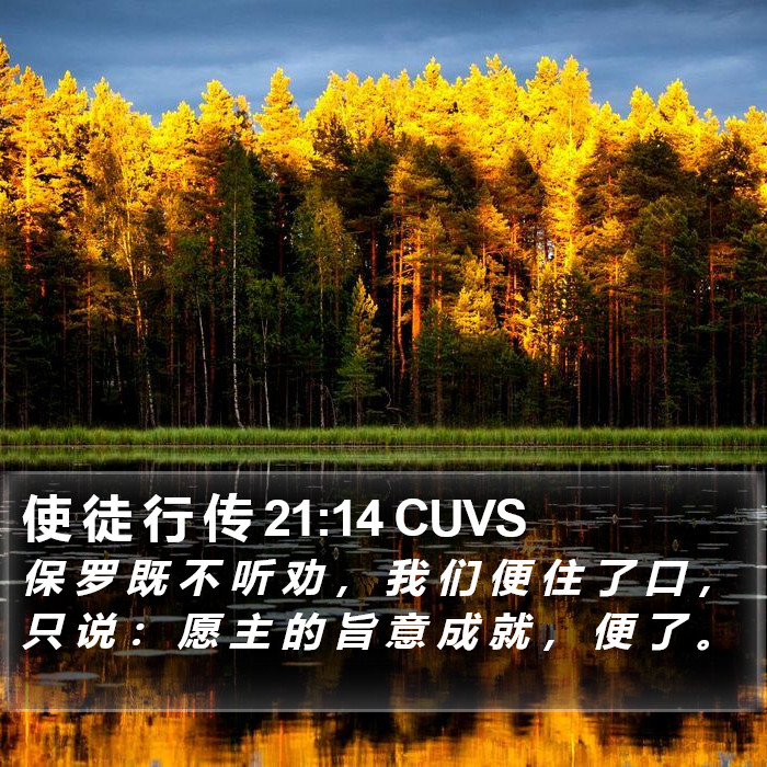 使 徒 行 传 21:14 CUVS Bible Study