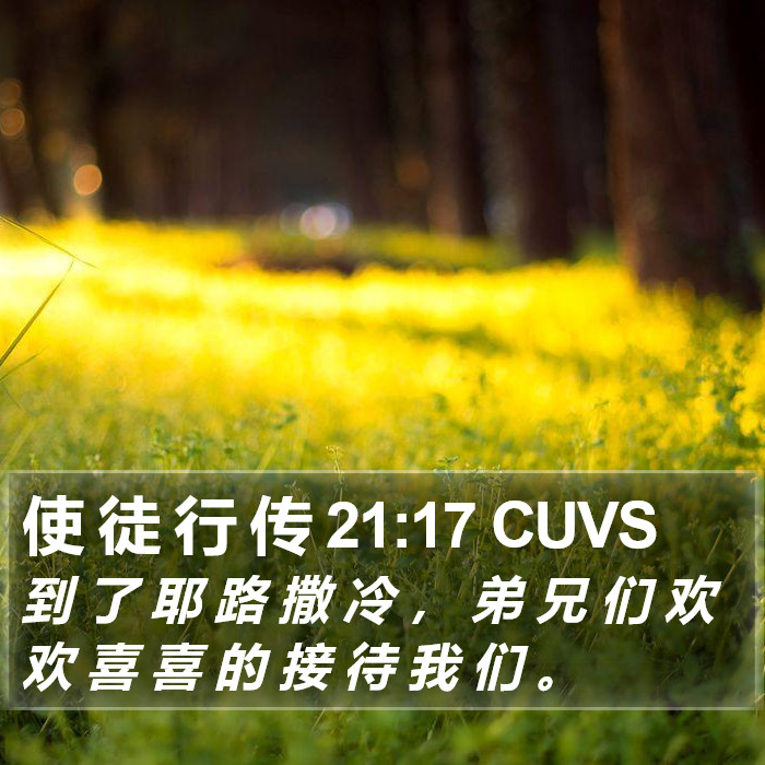 使 徒 行 传 21:17 CUVS Bible Study