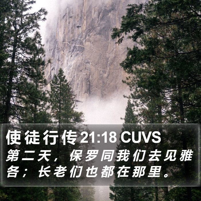 使 徒 行 传 21:18 CUVS Bible Study