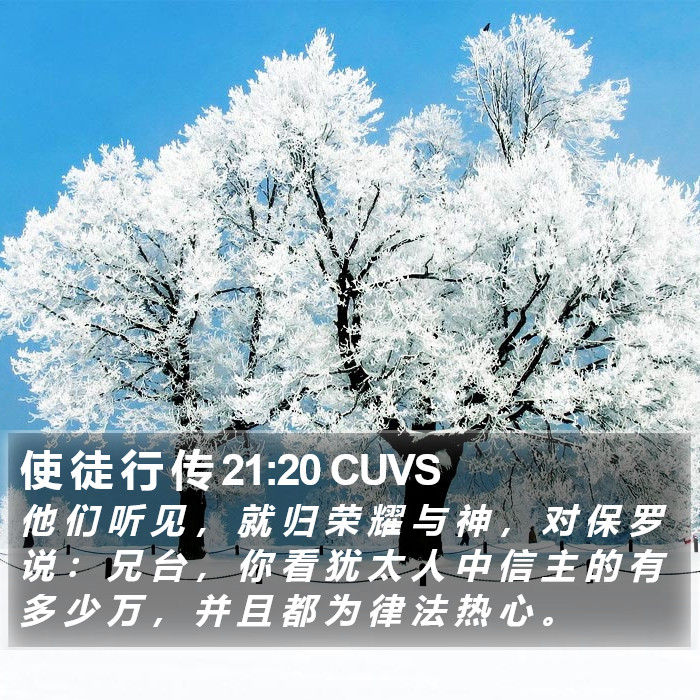 使 徒 行 传 21:20 CUVS Bible Study