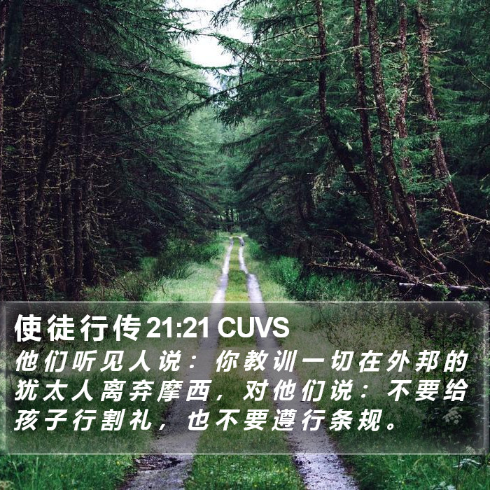 使 徒 行 传 21:21 CUVS Bible Study